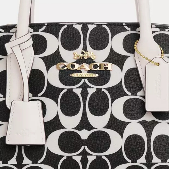 New! Andrea Carryall (Small) in Signature Canvas - Picture 7 of 9